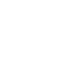 Euro sign PNG-21555